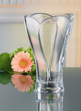 NACHTMANN德国进口欧式轻奢家用水养摆件水晶玻璃插花瓶大号高档