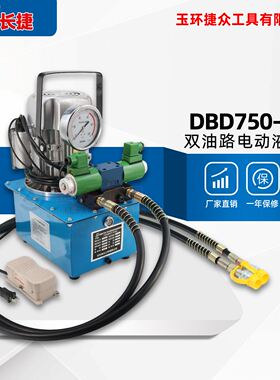 长捷 双油路电动液压泵DBD750-DS2 双油管输出脚踏控制换向i.