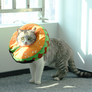 充气款伊丽莎白猫狗项圈羞耻套围脖防舔防咬术后保护套圈绝育用品