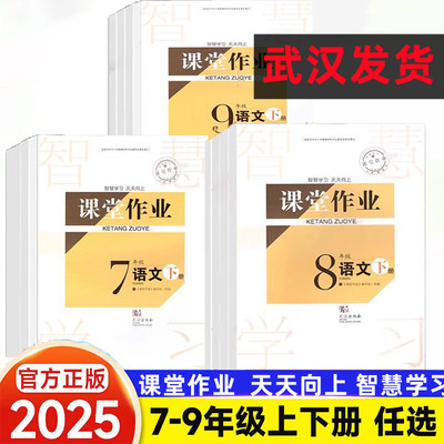 2025课堂作业初中七八九年级上下册语文数学英语生物物理化学历史地理政治道德与法治人教版长江作业本同步练习册随堂检测一课一练