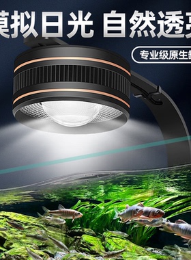 瑶睿原生态鱼缸LED灯溪流缸暴藻灯全光谱筒灯射灯水草鱼缸观赏灯