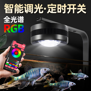 鱼缸筒灯溪流缸灯LED灯全光谱爆澡灯水草金鱼缸增艳灯APP智能调光