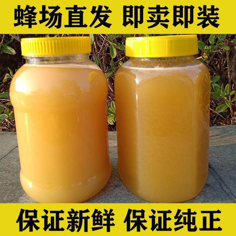 土蜂蜜纯正天然野生枇杷蜜成熟冬季结晶从化峰蜜糖2斤1斤
