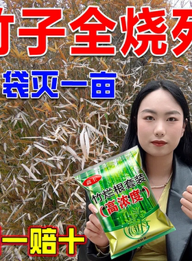 竹子全烧死铁路公路除草烂根剂强效开荒矿区田间荒地杂草强效渗透