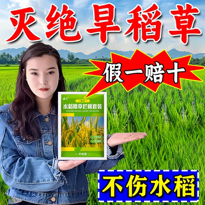 旱稻苗后除草专用剂封闭除草不伤旱稻苗杂草克星水稻田除草烂根剂