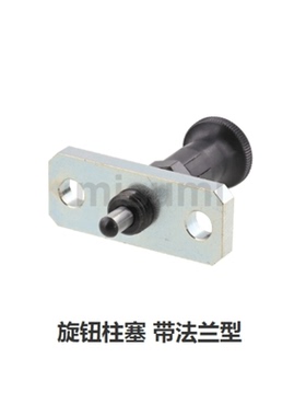 法兰型旋钮柱塞FPXY/FPXR-8/8L/10/10L/12/12L/16/16L/ZAB80/ZAB8