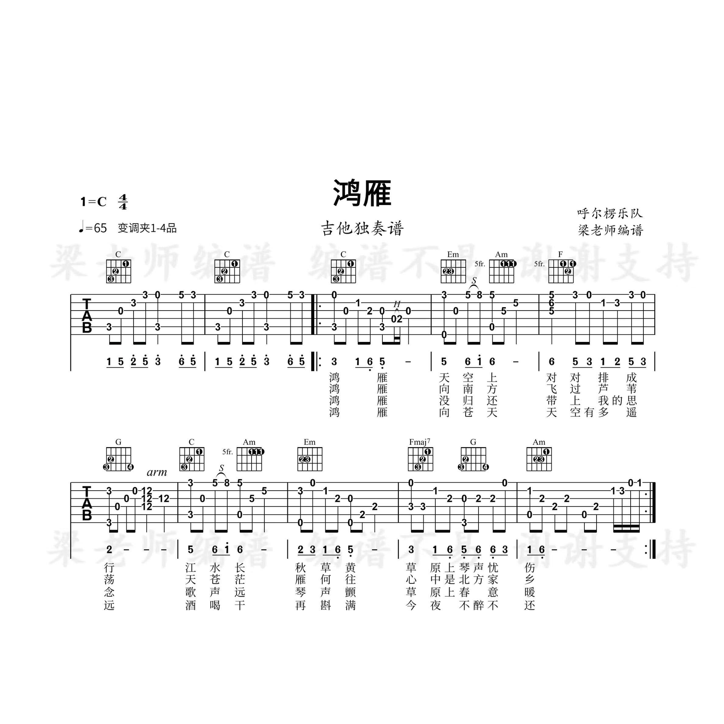 《鸿雁》指弹独奏电子版吉他谱 带分段教学 c调指法简单好弹好听