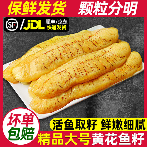 精品大号霞浦黄花鱼籽新鲜冷冻
