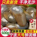 舟山特产泥螺即食罐装 级大号特新货鲜活腌制生腌海鲜黄泥螺醉泥螺