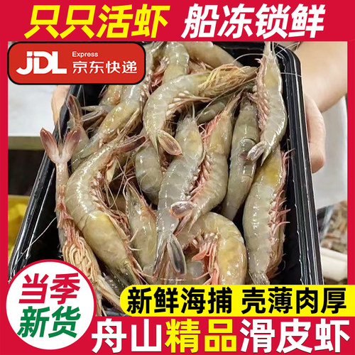 舟山野生滑皮虾鲜活速冻海鲜水产