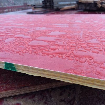 建筑模板木板工地施工现浇混泥土用好锯好钉不易起层质量稳定