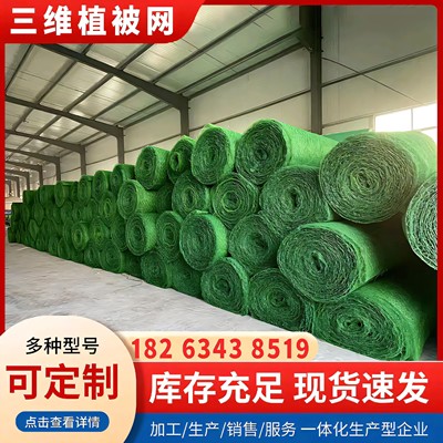 三维植被网土工网垫护坡绿化加筋护坡固土EM3三层植草边坡防护网