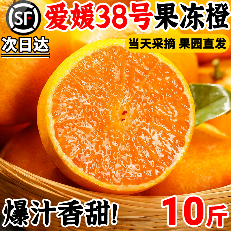 顺丰次日达！爱媛38号果冻橙！