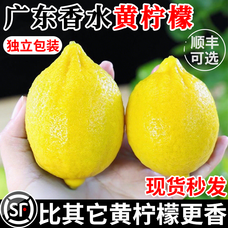 2025广东香水黄柠檬薄皮商用香水柠檬黄柠檬薄皮奶茶店专用水果
