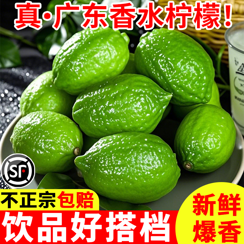 正宗广东香水柠檬新鲜青柠檬商用特级一级果应当季水果奶茶店专用