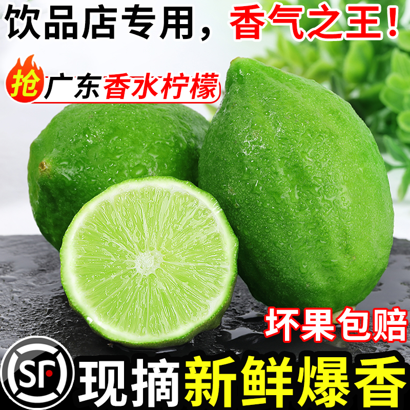 广东香水柠檬新鲜正宗青柠檬无籽大果一级果应当季水果奶茶店专用