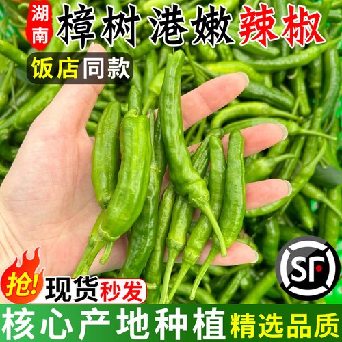 【顺丰】正宗湖南樟树小港辣椒现摘新鲜富晒食用薄皮嫩青线椒农产