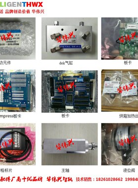 燃烧塔内芯 BACCINI 302814