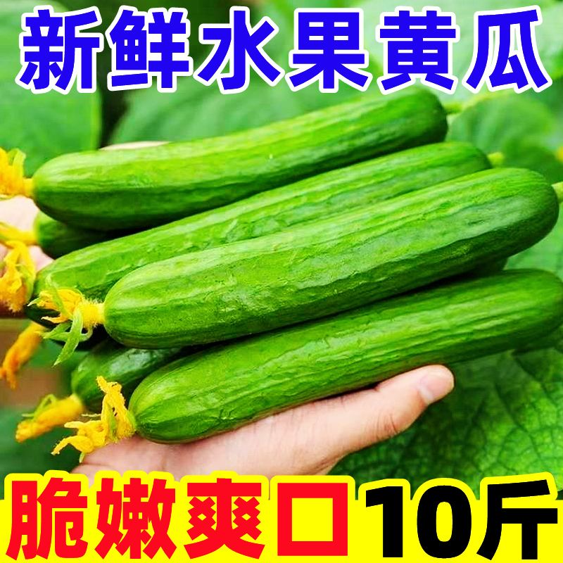 【黄瓜好评榜】官方推荐