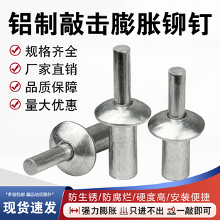 铝铆钉不锈钢敲打膨胀螺丝钉新型锤击圆头子母铆钉 击芯铆钉敲击式