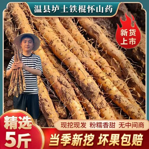 正宗温县垆土山药现挖现发垆土铁棍怀山药河南焦作新鲜5斤装整箱