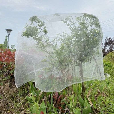 菜地防鸟用的网罩果树防虫放白粉虱防鸟防晒网套蔬菜防果蝇套袋网