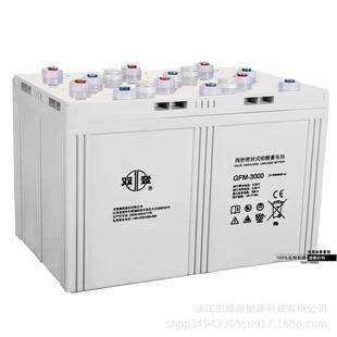 蓄电池2V3000AH备GFM 3000风能UPS电源基站太阳能电厂免维护