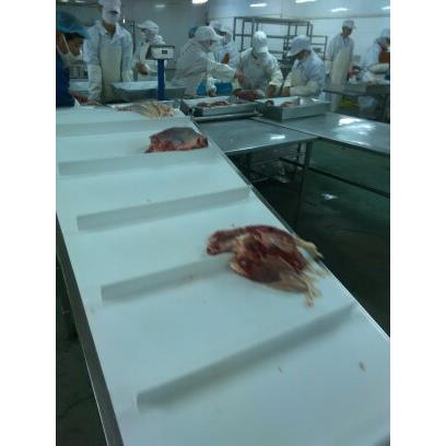 TE宰T创意款特恩分特层分割输送带不锈SSD钢肉类割生产加工屠及N