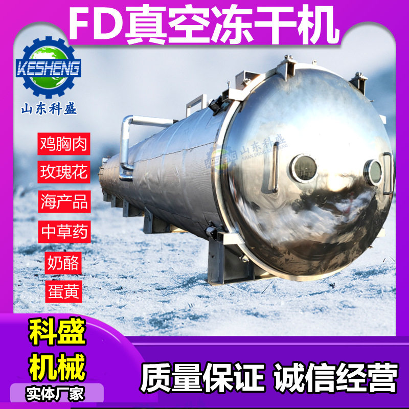 玫瑰花茶片冻干机 海鲜肉制品真空冻干机 奶酪真空冷冻干燥设备