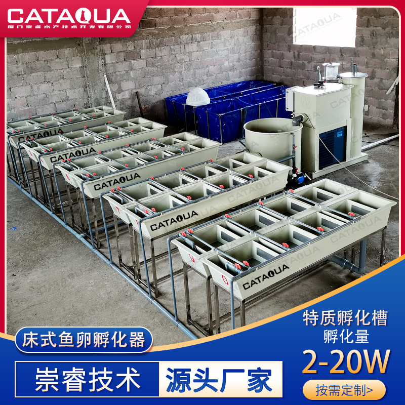 循环水水产养殖系统淡水鱼石斑鱼虹鳟鱼鱼卵孵化器孵化设备