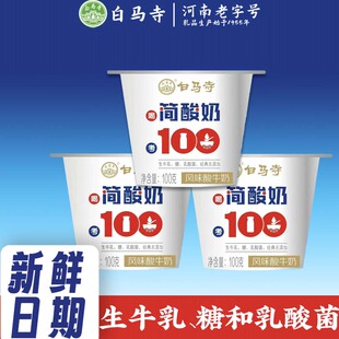 洛阳白马寺简酸奶杯装益生菌100g营养早餐学生宿舍经典零添加健康