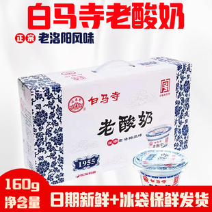 洛阳白马寺老酸奶160g全脂风味酸牛奶河南老字号浓稠益生菌发酵乳
