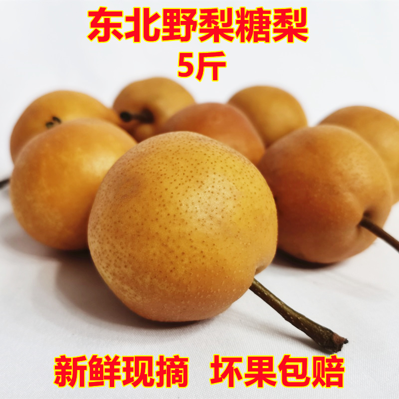 东北红棠梨大糖梨小山梨吉林野梨非野生新鲜酸甜唐梨坏果包赔