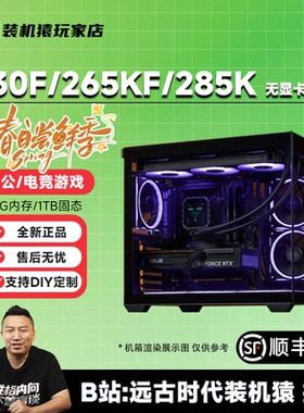 装机猿玩家店 Ultra5-230F/245KF/265KF/285K 无显卡电竞游戏主机