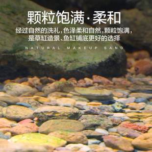 溪流石鱼缸造景底砂免洗天然溪流沙南美水草缸龟缸原生雷龙鱼底沙