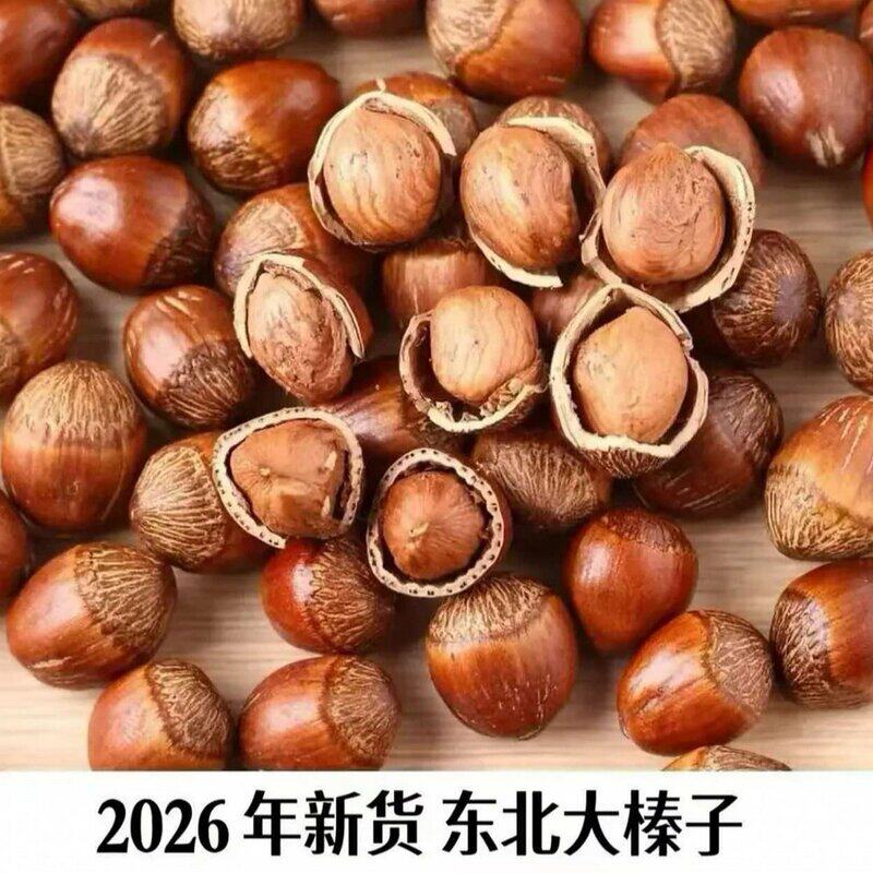 廖氏臻果 东北新货东北大榛子嘎嘎香2026新货1/2/3/5斤送夹子