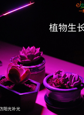 USB led植物生长灯 室内仿太阳光补光灯 全光谱 花卉 多肉红蓝灯
