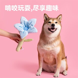 派思维手捧花宠物藏食磨牙玩具毛绒响纸叫叫发声幼犬小狗生日礼物