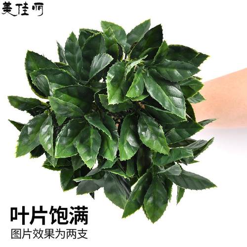 仿真栀石子叶小草 植物墙绿011植配件子自选楠叶把栀花小绿植波斯
