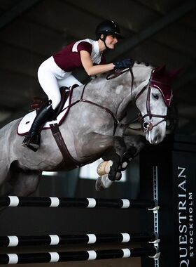 STOCKHOLM汗屉轻便瑞典进口马鞍垫舞步/障碍/Pony 汗屉