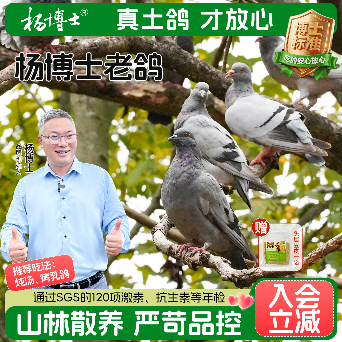 杨博士老鸽子皖南林间散养年份老鸽生鲜炖汤食材整只鸽子肉