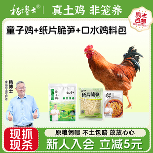 杨博士散养土鸡皖南深山散养原粮饲喂童子鸡仔公鸡