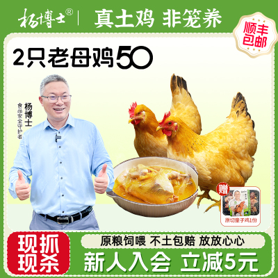 杨博士皖南深山散养老母鸡