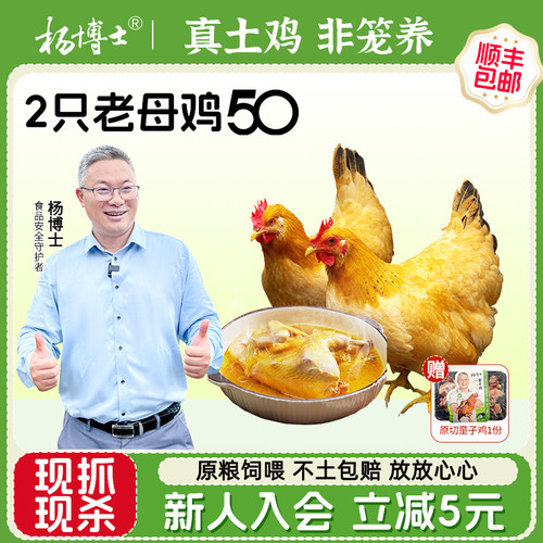 杨博士皖南深山散养老母鸡