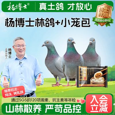 杨博士鸽子新鲜皖南正宗乳鸽食用鸽子鲜鸽子林间散养煲汤鸽子