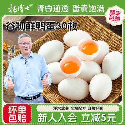 【新品上市】杨博士新鲜鸭蛋溪水放养鸭蛋正宗农家散养现捡鲜鸭蛋