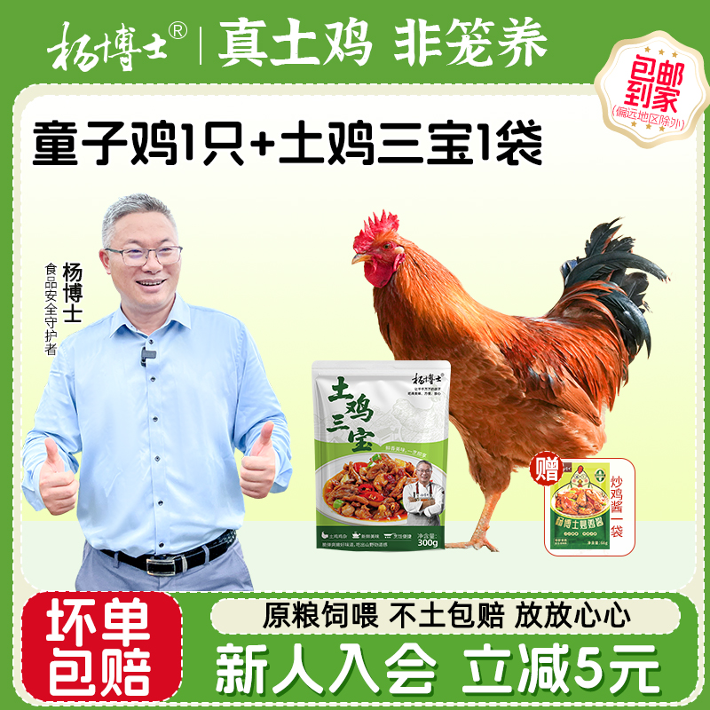 杨博士散养童子鸡整只鸡生鲜鸡杂组合土鸡三宝新鲜红烧炒鸡食材