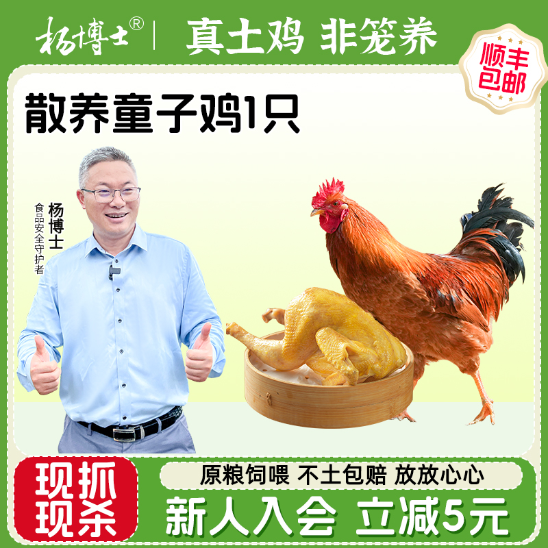 杨博士皖南农家散养土鸡