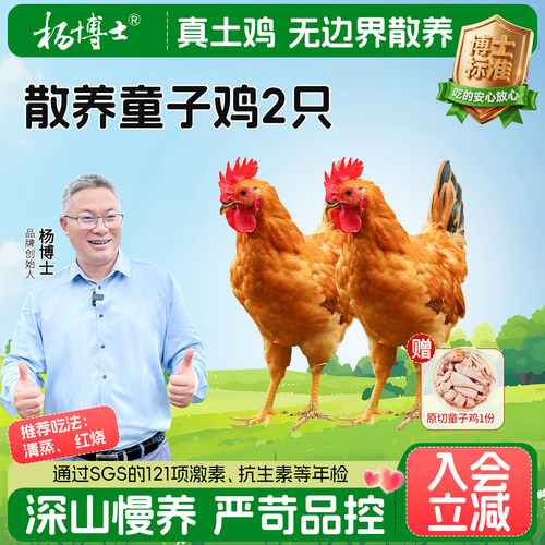 杨博士土鸡农村散养童子鸡深山放养新鲜整鸡走地鸡清蒸鸡生鲜食材