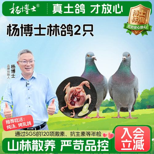 杨博士鸽子肉生鲜农家散养土鸽子正宗新鲜乳鸽孕妇营养鸽子